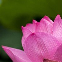 Amy Deon (Parker) Haralson