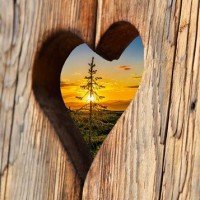 Dominick Briganti Sr.