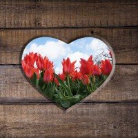 Sheriff Brent Button