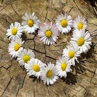 Venette Allen Kragenbrink