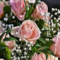 Coke Austin McDowell