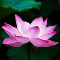 William Filakovsky Jr.